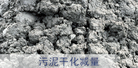 污泥干化專題